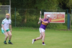 Carbery v Muskery SHC 2024