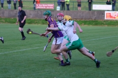 Carbery-v-Muskery-SHC-2024-10