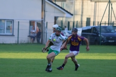 Carbery-v-Muskery-SHC-2024-14