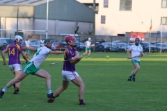 Carbery-v-Muskery-SHC-2024-15