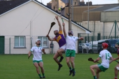 Carbery-v-Muskery-SHC-2024-17