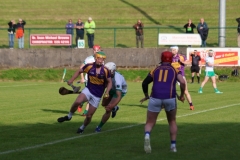 Carbery-v-Muskery-SHC-2024-33