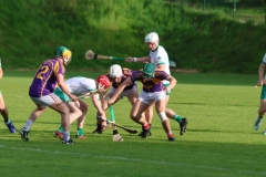 Carbery-v-Muskery-SHC-2024-34