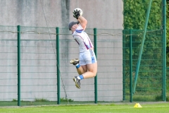 Clona-Milk-U21-A-19