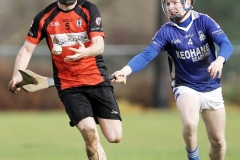 Dubliner-Cheese-Div-1-Hurling-Final-2018-05