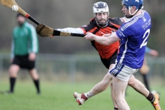 Dubliner-Cheese-Div-1-Hurling-Final-2018-06