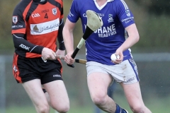 Dubliner-Cheese-Div-1-Hurling-Final-2018-07