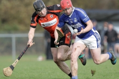 Dubliner-Cheese-Div-1-Hurling-Final-2018-08