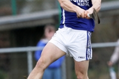 Dubliner-Cheese-Div-1-Hurling-Final-2018-10