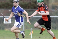 Dubliner-Cheese-Div-1-Hurling-Final-2018-11