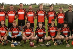 Dubliner-Cheese-Div-1-Hurling-Final-2018-12