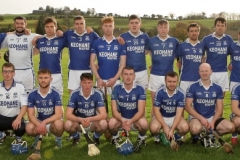 Dubliner-Cheese-Div-1-Hurling-Final-2018-13