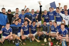 Dubliner-Cheese-Div-1-Hurling-Final-2018