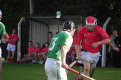 JAHC-Ballinascarthy-v-Dohenys