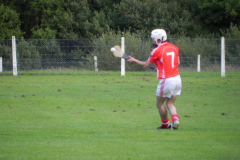 JAHC-Ballinascarthy-v-St-Colums-02