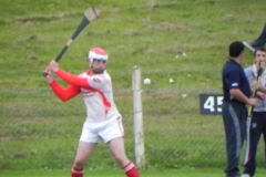 JAHC-O-Don-Rossa-v-St-Ol-Plunketts-04