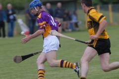 Carbery-v-Carrigdhoun-County-SHC-03