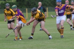 Carbery-v-Carrigdhoun-County-SHC-04
