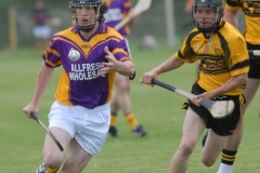 Carbery-v-Carrigdhoun-County-SHC